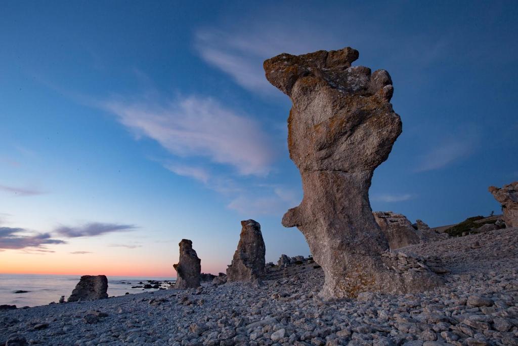 Gotland Natur & Kultur 24 juni 27 juli 2019 med Jim Sundberg Raukfältet Langhammars. Foto Jim Sundberg. Varmt välkommen på AviFaunas resa till Gotland!