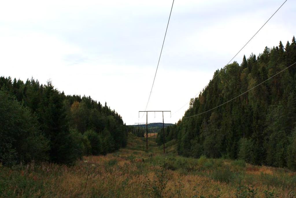 Figur 13. Foto av hur befintliga Svenska kraftnäts 220 kv ledning och ledningsgata ser ut fotograferad längs med ledningsgatan.