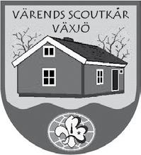 Sommaraktiviteter i Värends Scoutkår Under våren 2008 bestämde vi att vi skulle synas mer i Växjö och försöka få fler barn och vuxna till kåren.