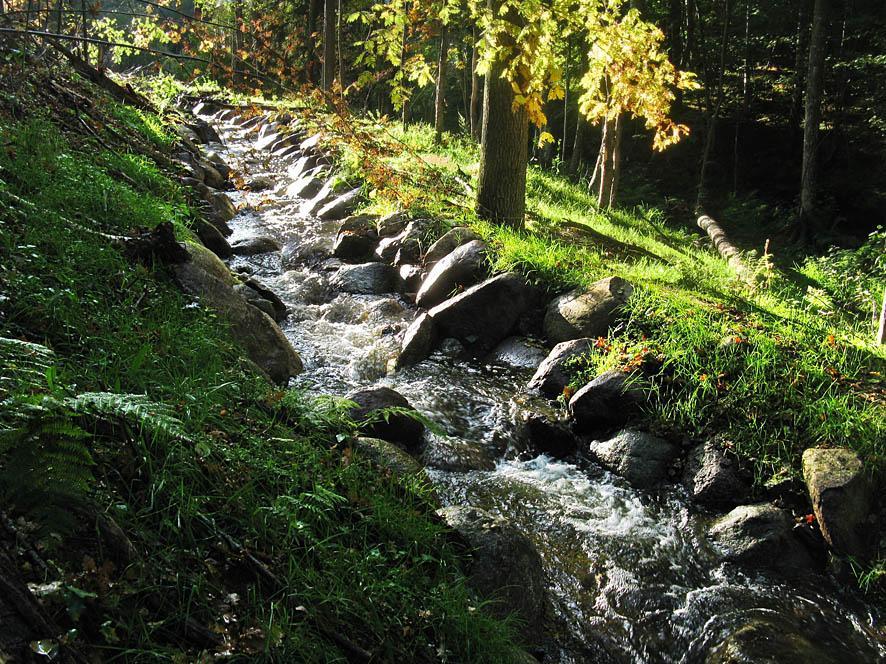 8 Bild 7. IGNITA 2013. Hjoåns dalgång, Herrekvarn, En naturlik fiskväg smälter väl in i omgivande terräng. 2) Högre naturvärden. Det blir högre naturvärden.