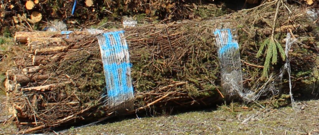 Aggregatet kom-primerar buntar till en längd av 2,6 meter (Figur 4) med hjälp av två matarvalsar och en längd-kapande giljotin. Buntarna binds samman av plastnät som lindas runt bränslet.