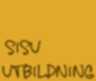 Vid besöken har dels avstämning av förbundets krav på fungerande ridskoleanläggningar gjorts och dels har säkerheten för såväl hästar som människor satts i fokus.