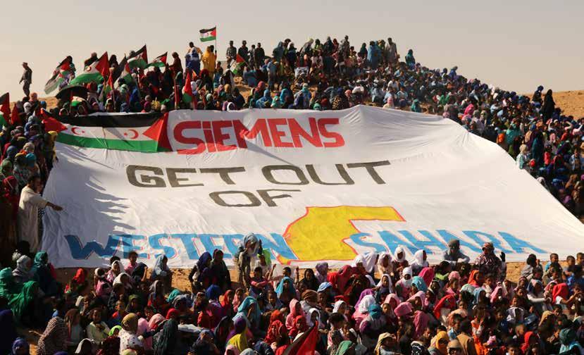 En flykting mot stöld Västsaharier i flyktinglägren protesterar mot tyska Siemens vindkraftsbyggen för Marocko i ockuperade Västsahara.