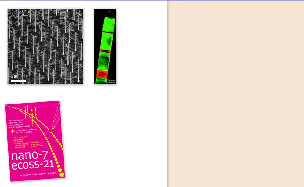 Nanotråden växer till Nanotråden får nu en central roll i FTF:s verksamhet. För de flesta forskningsgrupper kommer det dagliga arbetet att vara påverkat av nanotrådar.