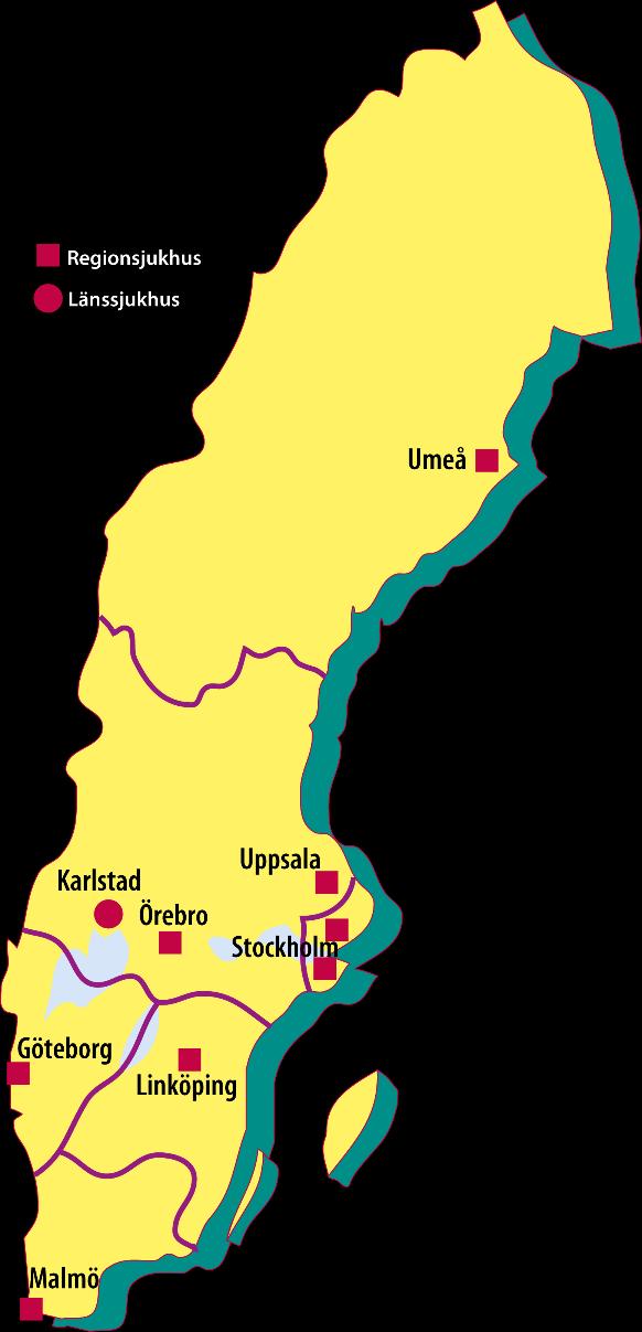 Regionsjukvård Ibland behövs en annan kompetens än den som finns i