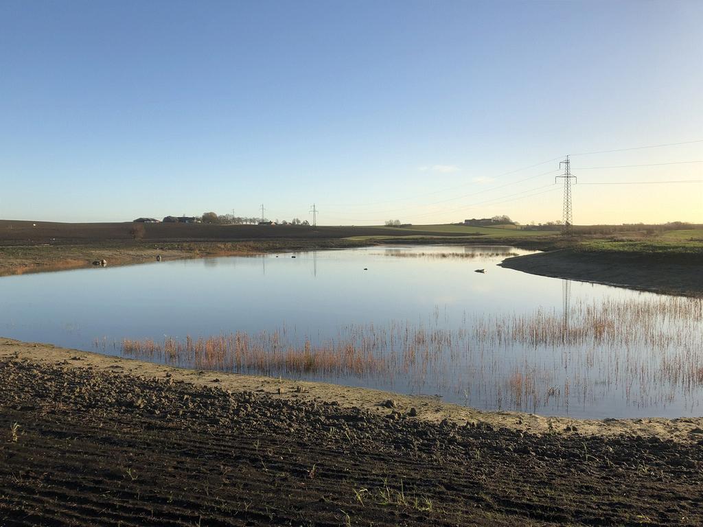 Staffanstorp kommun Nr 34 Segeå-projektet Damm vid Torrebergabäcken, Mossheddinge Fastighet: Mossheddinge 2:1 Kommun: Staffanstorp Damm/våtmarksyta (ha) 1.8 Djup (max, m): 1.