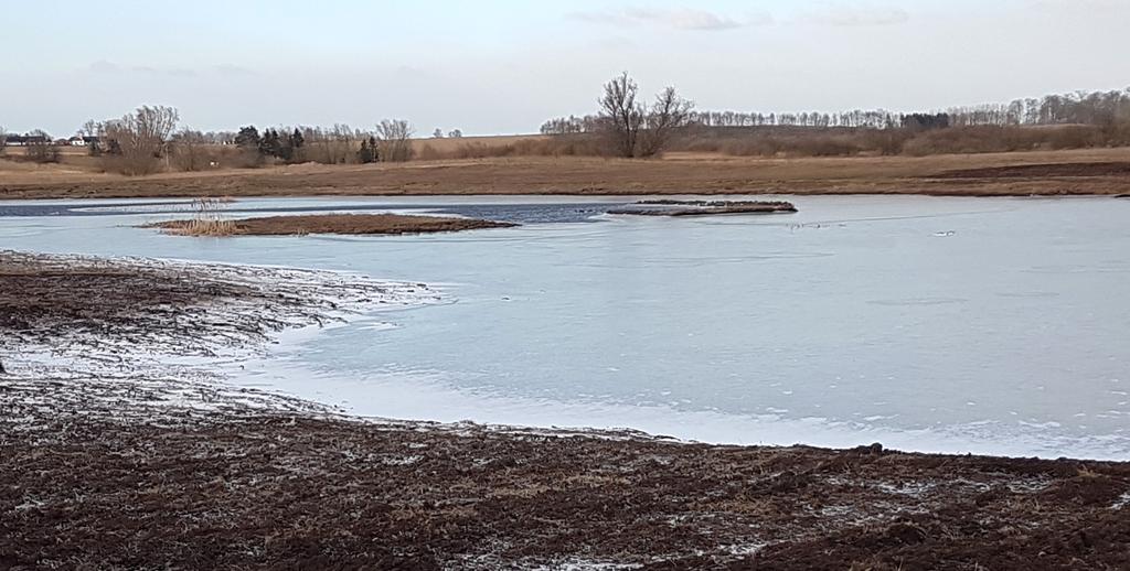 Svedala kommun Segeå-projektet Nr 252 Damm vid Vinninge Fastighet: Vinninge 9:1 Kommun: Svedala Damm/våtmarksyta (ha) 3.1 Djup (max, m): 1.