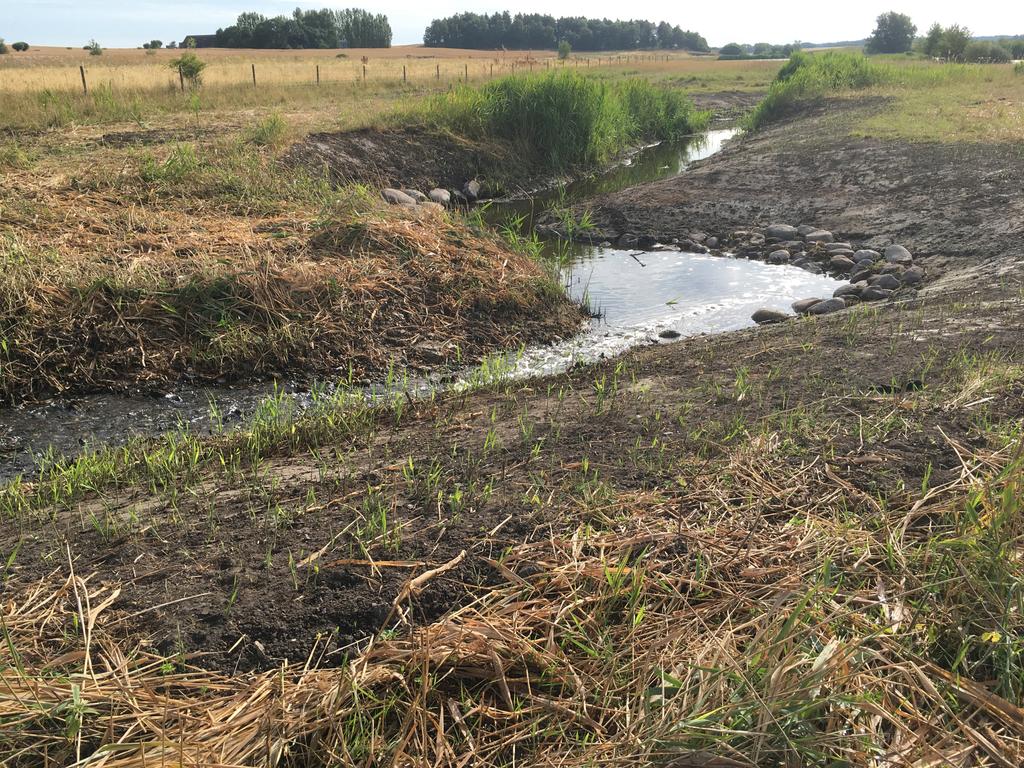 Malmö kommun Nr 513 Segeå-projektet Biotopåtgärder vid Björkelundadammen, Oxie Fastighet: Oxie 26:1 Kommun: Malmö Damm/våtmarksyta (ha) Djup (max, m): Tillrinningsområde (ha): 900 Schaktmassor (m3):