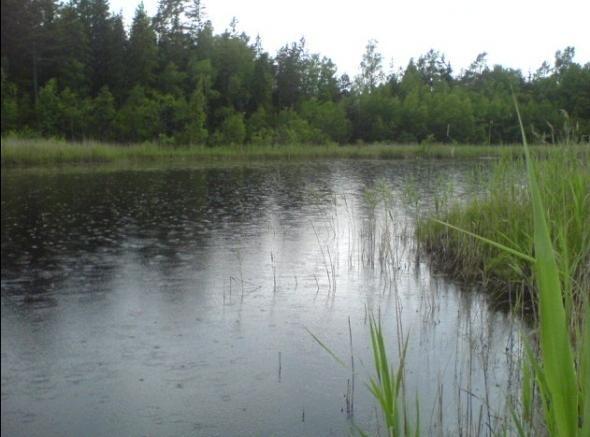 Ytan på avrinningsområdet för sjöns utloppspunkt är ca 0,3 km 2 /Ridderstolpe och Stråe 2007/, vilket med en specifik avrinning för Forsmarksområdet på ca 4,9 l/(s km 2 ) /Johansson 2008/ ger en