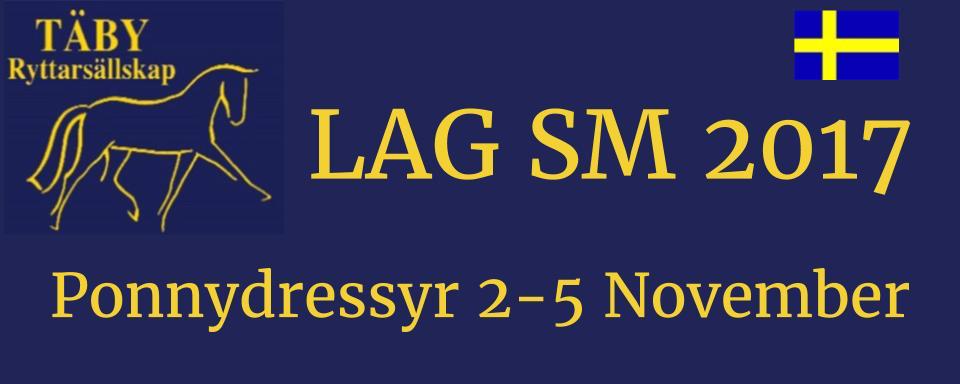 Lag-SM