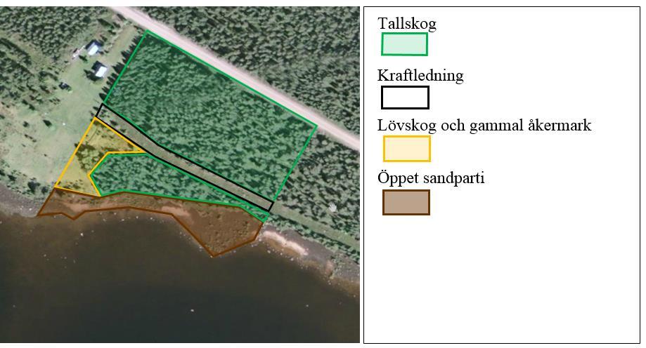 Ovan till vänster: Tallskog dominerade inom området. Ovan i mitten. Gammal åkermark. Ovan till höger: Öppna ytor kring stranden.
