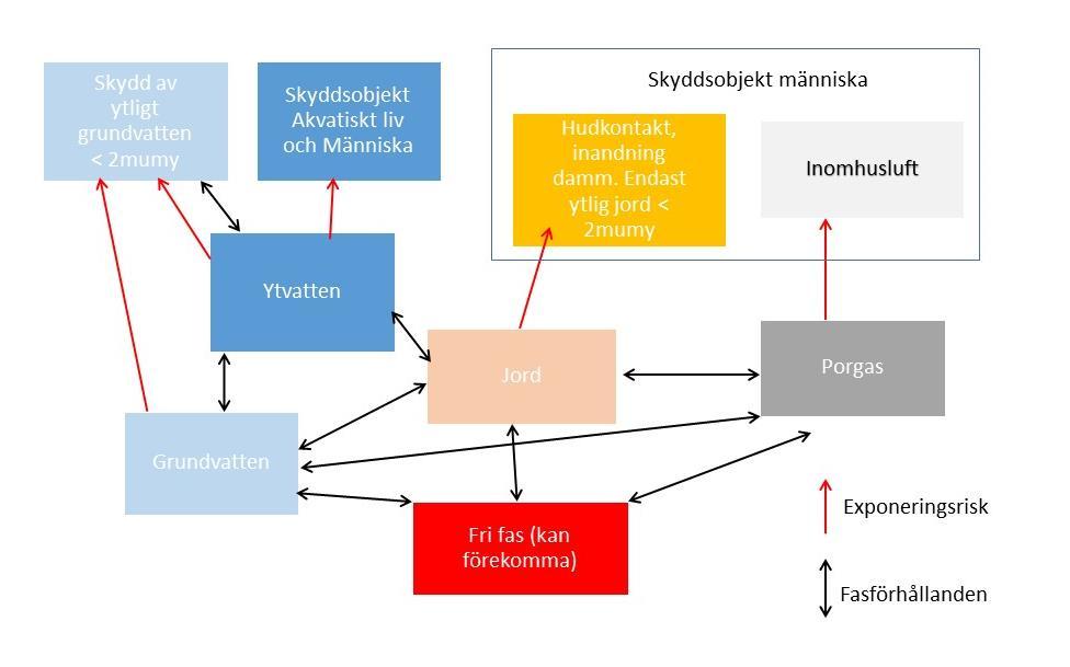 Figur 14 Konceptuell modell för förorening av klorerade kolväten på fd Gusums bruk. 4.5 Föroreningsförekomst i jord Källområdet, d.v.s. utsläppsområdet för de klorerade kolvätena är oklart, då endast mycket få och låga halter i jord/sediment har påträffats.