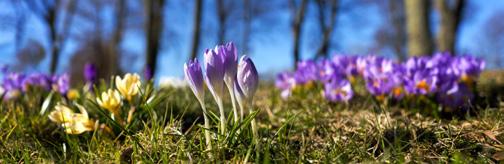 Maj 2018 Som regel fika varje söndag! V Dat Dag Tid Samling Medverkande 18 2 Onsd 18.30 Scouter 3 Torsd 18.30 Bibel & Bön 4 Fred 19.00 Tonår 5 Lörd 9-12 STÄDDAG 6 Sönd 11.00 Gudstjänst Christina 13.