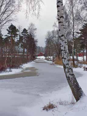 asselblad Vårt första stopp