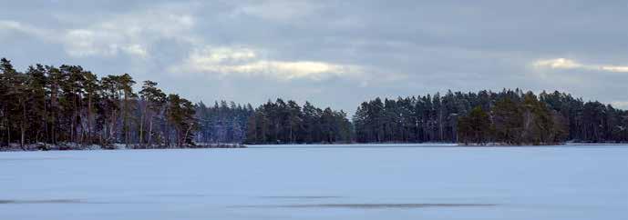 kälsnäs udde i