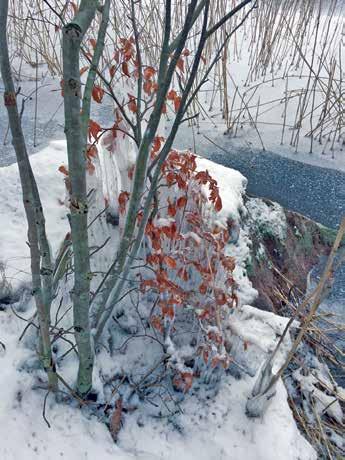 Lilla Kupö.