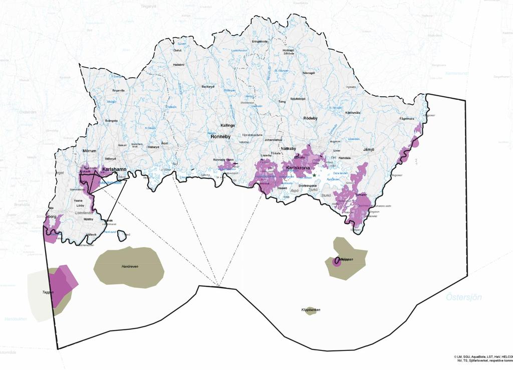 I den grundläggande naturvärdesbedömningen identi eras vad, det vill säga vilka biotiska ekosystemkomponenter som är värdefulla och bör prioriteras inom rumslig förvaltning baserat på naturvärden.