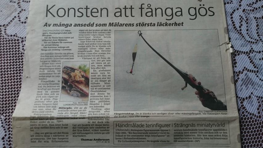Utan Inge hade Sveriges fiskevärld varit bra