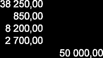 Arbetsmötesavgifter 90 st 300,00 2 700,00 50
