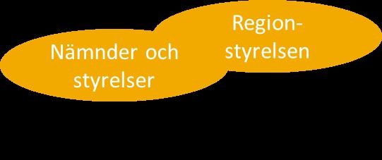 Regionfullmäktige beslutar om reglementen för nämnders/styrelsers verksamhet och arbetsformer. I reglementen fördelas och förtydligas ansvar och förutsättningar.