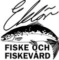 Fiskundersökningar i vattendrag inom Malmö kommun 2016 Malmö stad Lund 2016-11-18 Eklövs Fiske och Fiskevård Anders Eklöv