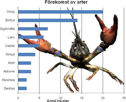 Fångade arter Totalt fångades 10 olika arter under 2008 års elfiske. De arter som fångades går att se i figuren nedan. Öring var den art som fångades på flest lokaler, 20 av 24 (figur 1).