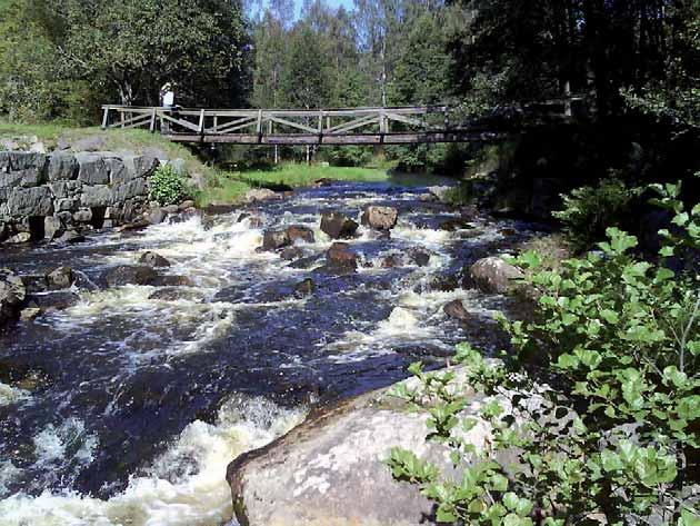 beståndstätheter. Fångsterna av öring på ett flertal lokaler minskar, främst i Nötån och Yxeredsåns vattensystem men även några lokaler i Sällevadsåns vattensystem antyder vikande tätheter (tabell 4).