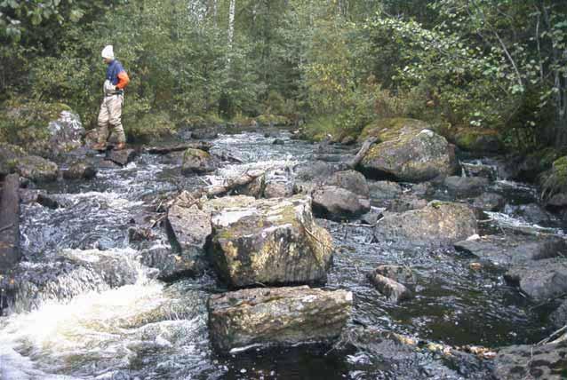 Sällevadsån.