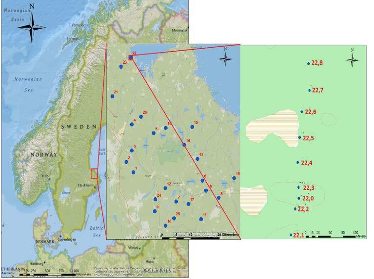 Figur 1: karta över alla 25 inventeringsområden och över transekt 22 där provyta 22,0 är skogskanten, 22,1-22,2 är hygge och 22,3-22,8 är skog.