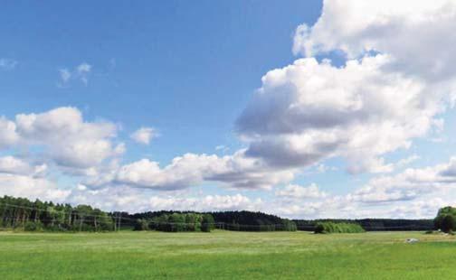 NATUR FÖNSTER MED LÅG