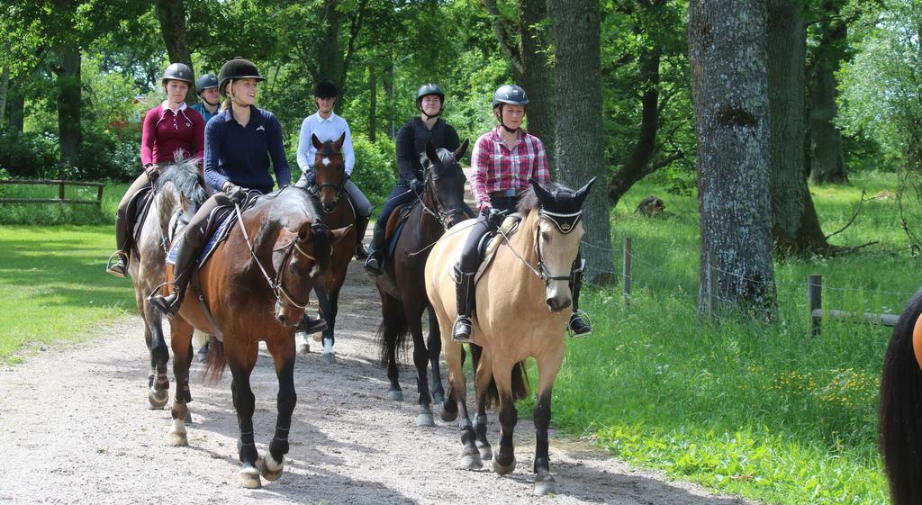 Att möta vuxna en fortsättningskurs för ungdomsledare Stockholms Läns Ridsportförbund bjöd in alla utbildade ungdomsledare till en utbildningsdag med Anja Näslund om hur man möter och hanterar vuxna
