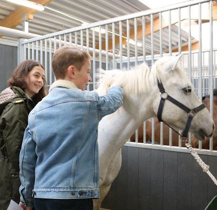 UTBILDNING I HÄSTHÅLLNING Clinic - Hur dömer domaren?