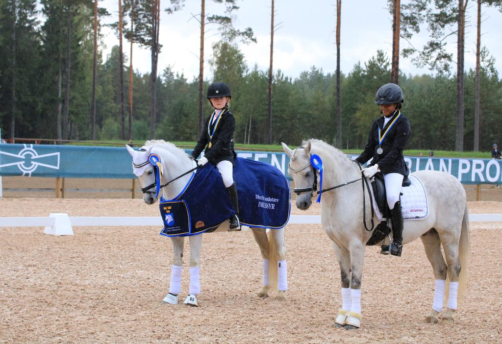 Ekbackens Ryttarförening lag 2 Tävlingen genomförs på tre orter och med en stor final för de tre vinnande lagen i regionerna.