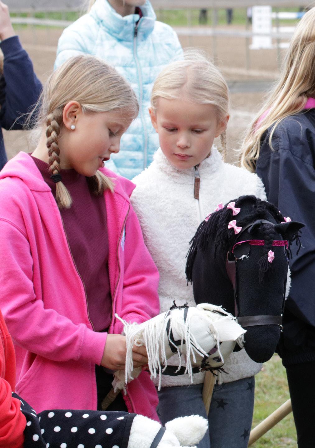 Helgen den 16-17 september anordnade Huddinge Ridklubb tillsammans med Stockholms Läns Ridsportförbund distriktsmästerskap i hoppning och dressyr för ponny och häst samt paradressyr på Runsten