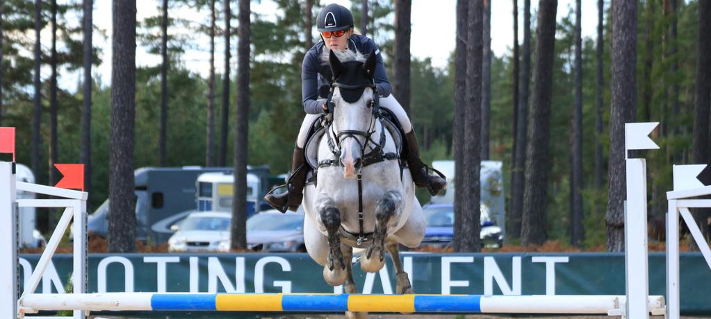 TÄVLINGSSTATISTIK Antal starter inom respektive gren Ponny 2005 2006 2007 2008 2009 2010 2011 2012 2013 2014 2015 2016 2017 Dressyr 2266 2758 2650 2104 2080 2243 2340 1910 2714 2313 2197 2685 2205