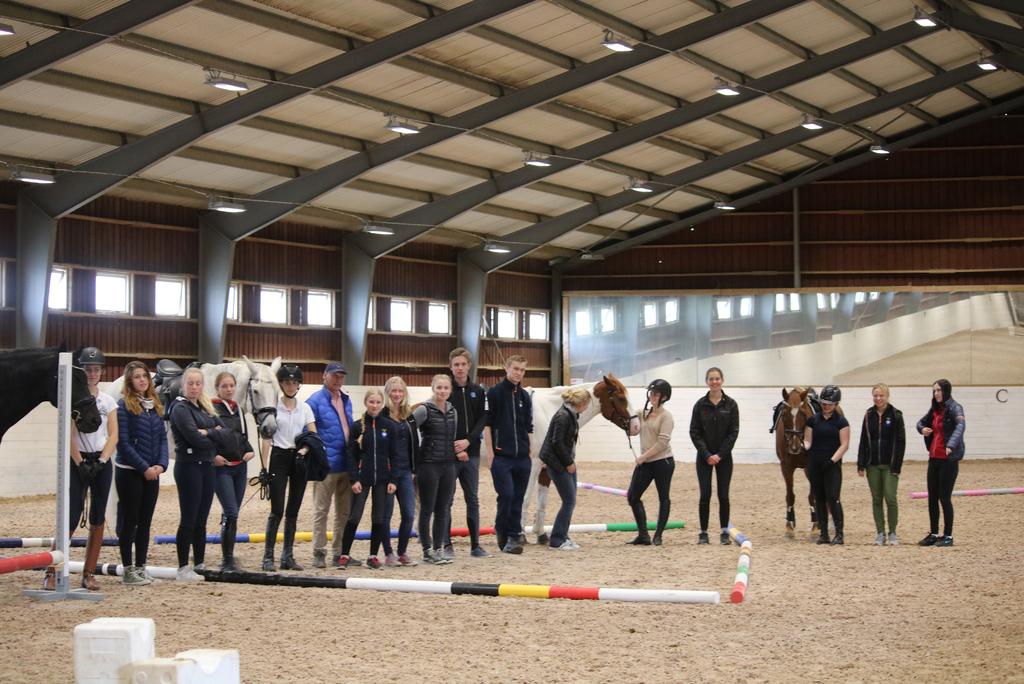 hållbarhet, hästskötsel, hjälp med att göra ett träningsschema till sin häst, doping, grundläggande skador och förebyggande arbete.