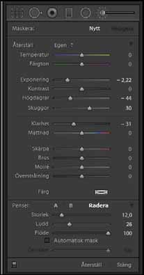 Lightroom-tips Här ett litet men tidsbesparande tips som gäller Justeringspenseln. Det är även tillämpligt på Övertoningsfilter och Radiellt filter.