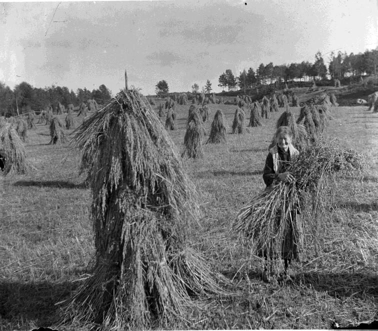 Vardagslivet i Femsjö Robert Andersson har sagt att jordbruket efter hand tog mer och mer av Joels tid och fotograferandet fick stå tillbaka. De flesta fotona är från sent 10-tal och tidigt 20-tal.