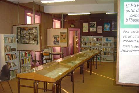 La oficiala inaŭguro okazis en 1987, ĉeeste de la konsulo de Pollando. La muzeo ampleksas unu etaĝon de renovigita ekslernejo transformita en kultura domo (nun franclingve nomigita Maison pour Tous).