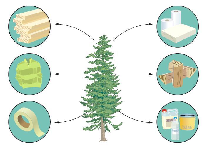 Olika material trä och papper. Hur använder vi skogen? Virke är trä att bygga saker av. Papper är gjort av hoppressade cellulosafibrer.