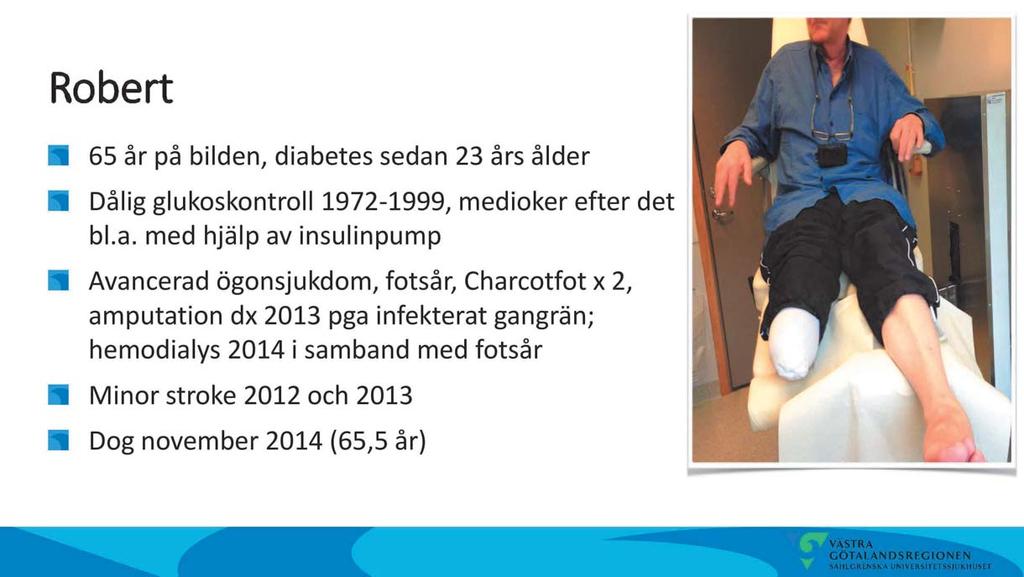 dsstyrelsen 2017-04-07 - HSNS 2017-00036-2 Gemensamma presidieöverläggningar, GPÖ, mellan hälso- och