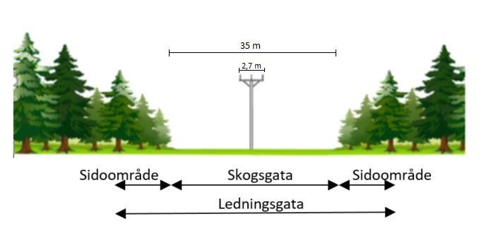 Detta innebär att där ledningen dras genom skogsområden röjs en skogsgata om ca 35 meter för att säkerställa att inga träd kan falla ned på faslinorna. Figur 5.
