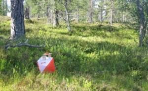 Orientering Naturpasset med 27 fasta kontroller 29/6-31/10 finns ordnat i Jungfrusundsskogen. Karta och startkort köps hos SportXtra, Ekerö centrum, 70 kr.
