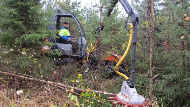 upp slyet med rötter, och Usewood Oy:s Tehojätkä och MenSe Oy:s röjhuvud som kapar av