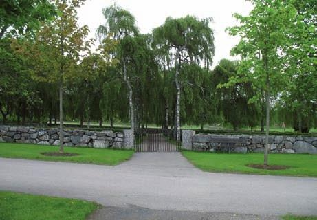 kar växer vid östra muren. Mellan gamla och nya kyrkogården sträcker sig en allé av lönnar. Längs grusgångarna i gamla kyrkogården finns alléer av hängbjörk.