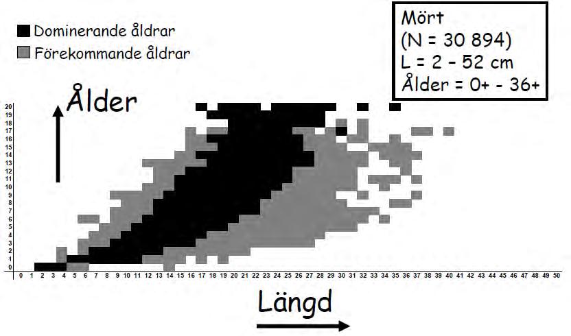Tabellerna används i rapporten för att ge en indikation på om tillväxten i sjöarna är hög eller låg. Figur 26. Längdfördelning av resp.