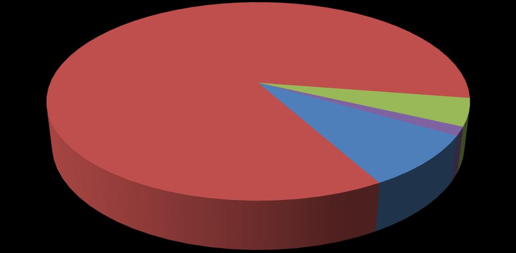 Under 2009 gjordes den första klimatuppmätningen. Då var klimatpåverkan från fjärrvärmen låg. Totala klimatpåverkan var knappt 43 ton CO2e för 2011 och drygt 67 år 2012.