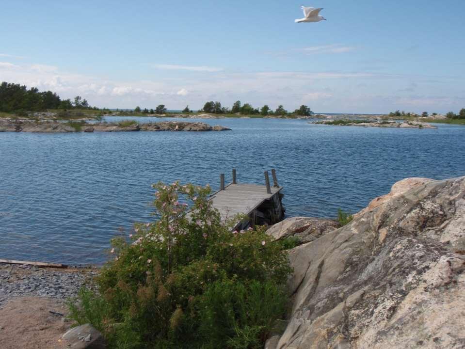 Det gränslösa vattnet Östersjön Övergödning av Östersjön