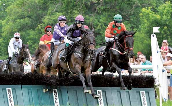 Så här läser du formraderna i programmet! 1 1000 Dirt-track START 12.45 KOMB TRIO SVENSKT GRAND NATIONAL H60 // BRONSHANDICAP För 3-åriga och äldre hästar.