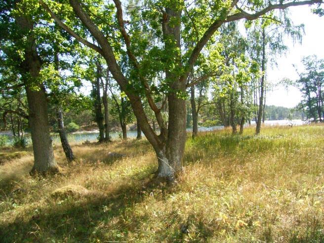 11 eskrivning Rånö Ängsholme ingår i en ögrupp isolerad från fastlandet genom Mysingen i Stockholms södra skärgård. De största öarna är Rånö, Utö, Ålö och Nåttarö, vilka skiljs åt av smala sund.